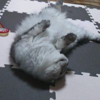 みっきィ 会員画像