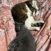 ゆっー釣りよかさん