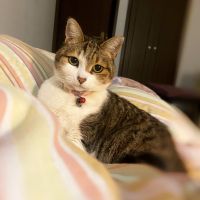 Annaまま 会員画像