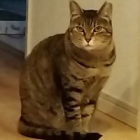 姫ちい 会員画像