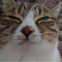 mimin&komachi 会員画像