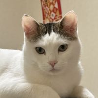fukuすけさん
