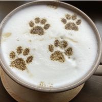 みよたま 会員画像