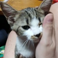 サンゴロウちゃん 会員画像