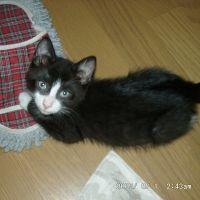 猫たく 会員画像