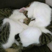 ゆんゆん3128 会員画像