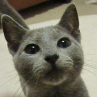 ぐりぐり 会員画像