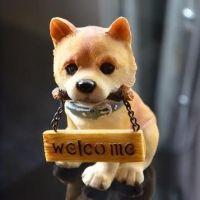 白クマ先生 会員画像