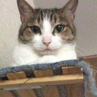 tagasann 会員画像