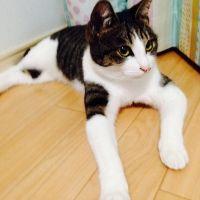 会員画像
