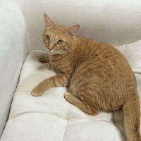 akemi5326 会員画像