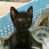 カーヌ 会員画像