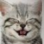 ユーザ画像