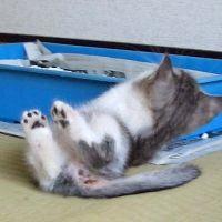 会員画像