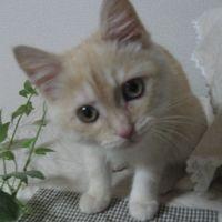 マロン５５さん