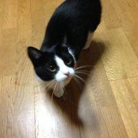 こぉのすけ 会員画像
