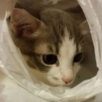 会員画像