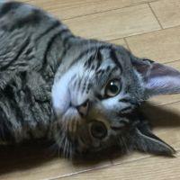 トム565628 会員画像