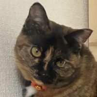 R子 会員画像