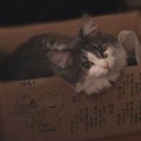 会員画像