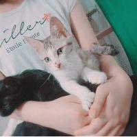 会員画像