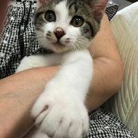 lovecatfumie 会員画像