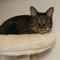 マリン愛 会員画像