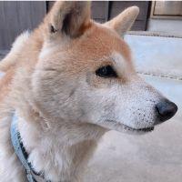 会員画像