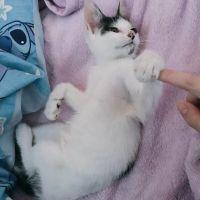 会員画像