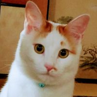 REONmama 会員画像