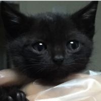 会員画像