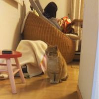 会員画像