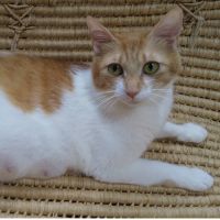 ひろころりん 会員画像