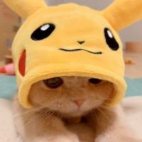 にゃ? 会員画像