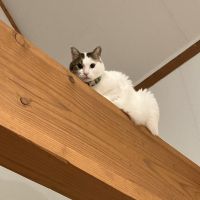 ワイちゃん 会員画像