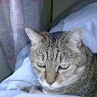 いちひろ 会員画像