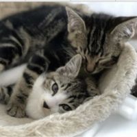 ブンさん 会員画像