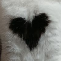 nekomaaaaad 会員画像