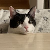 マイケル長男 会員画像