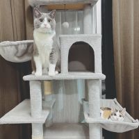 こはっきーさん