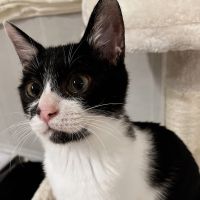 みっこ315 会員画像