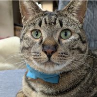 むーチャン 会員画像