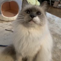 エクセさん