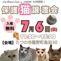 CatHouseLienさん