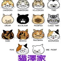 猫澤猫美さん