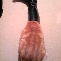 リトト 会員画像