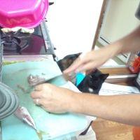 ちゅろ 会員画像