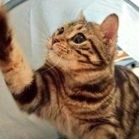 ふーか 会員画像