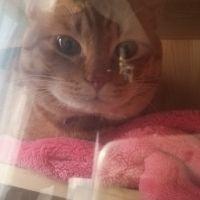 迷子 会員画像