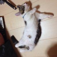 miiさん 会員画像